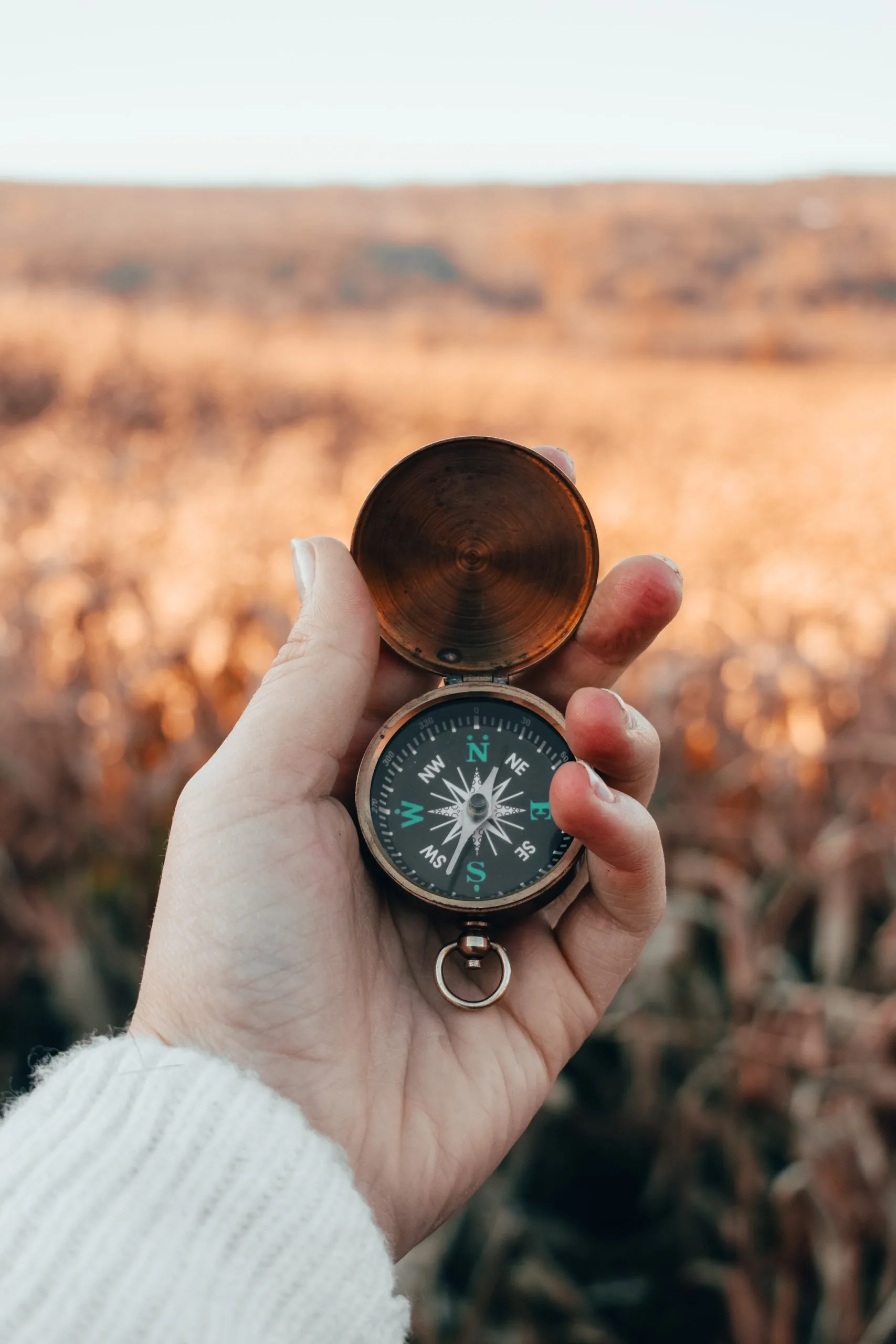 mariah-hewines-TQ3JV9ECgLM-unsplash-scaled